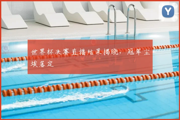 世界杯决赛直播结果揭晓,冠军尘埃落定