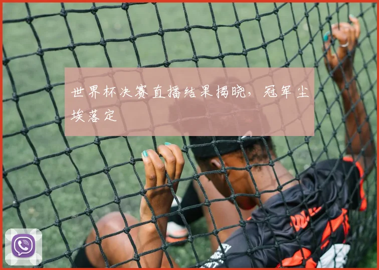 世界杯决赛直播结果揭晓,冠军尘埃落定